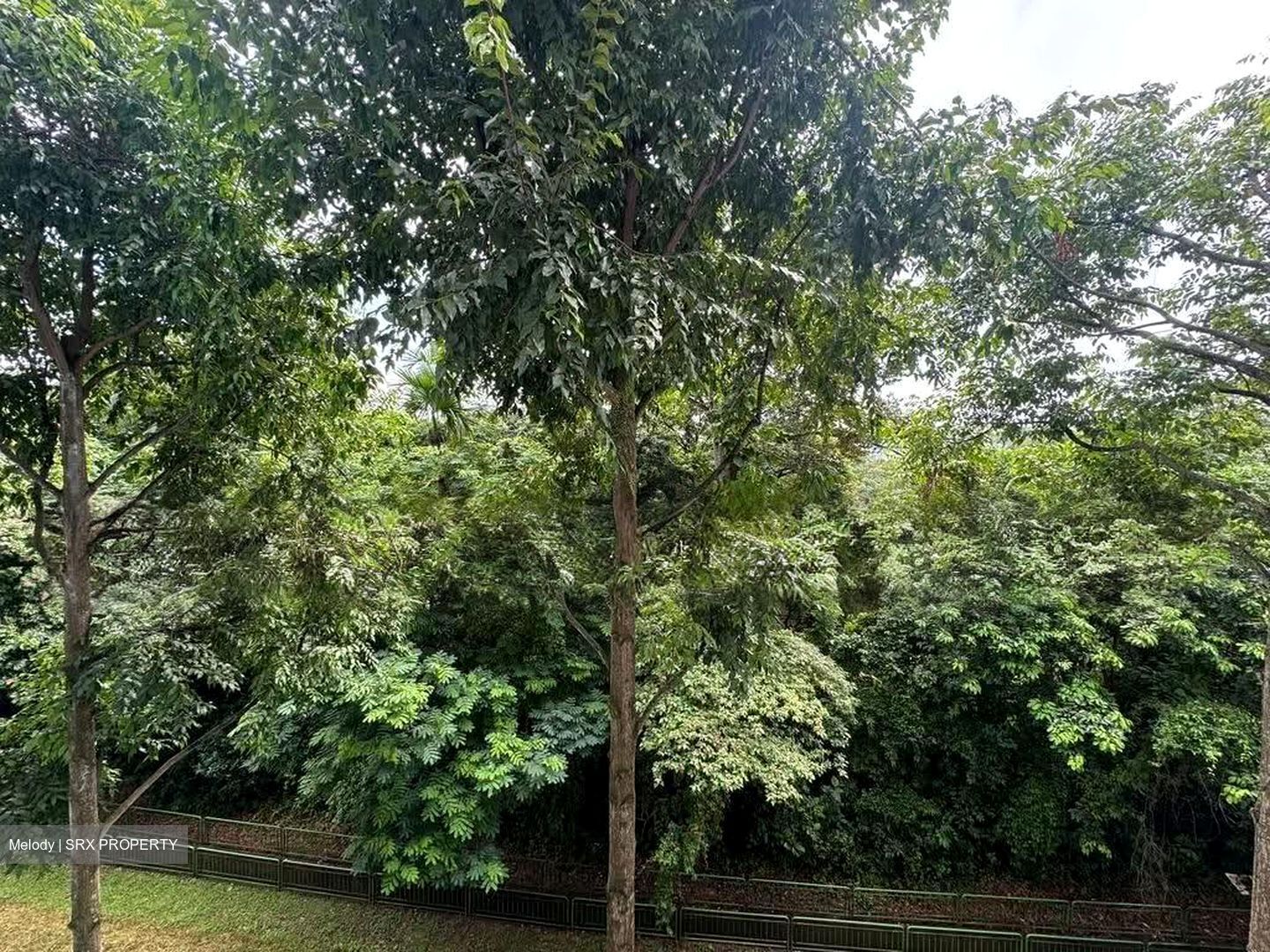 Blk 305 Clementi Avenue 4 (Clementi), HDB 3 Rooms #621220261